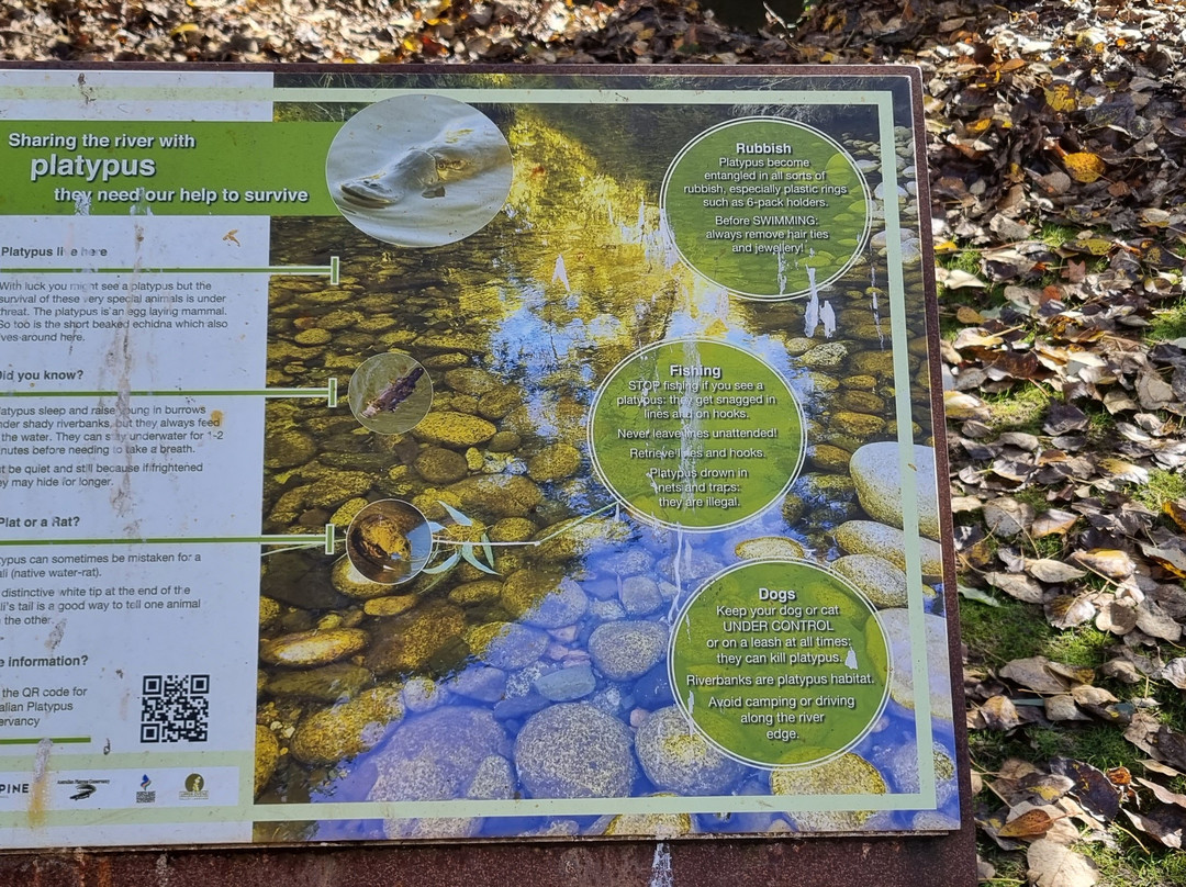 Cherry Walk Nature Trail-布赖特必去景点