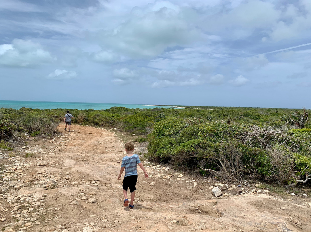Pirate's Cove-普罗维登西亚莱斯必去景点