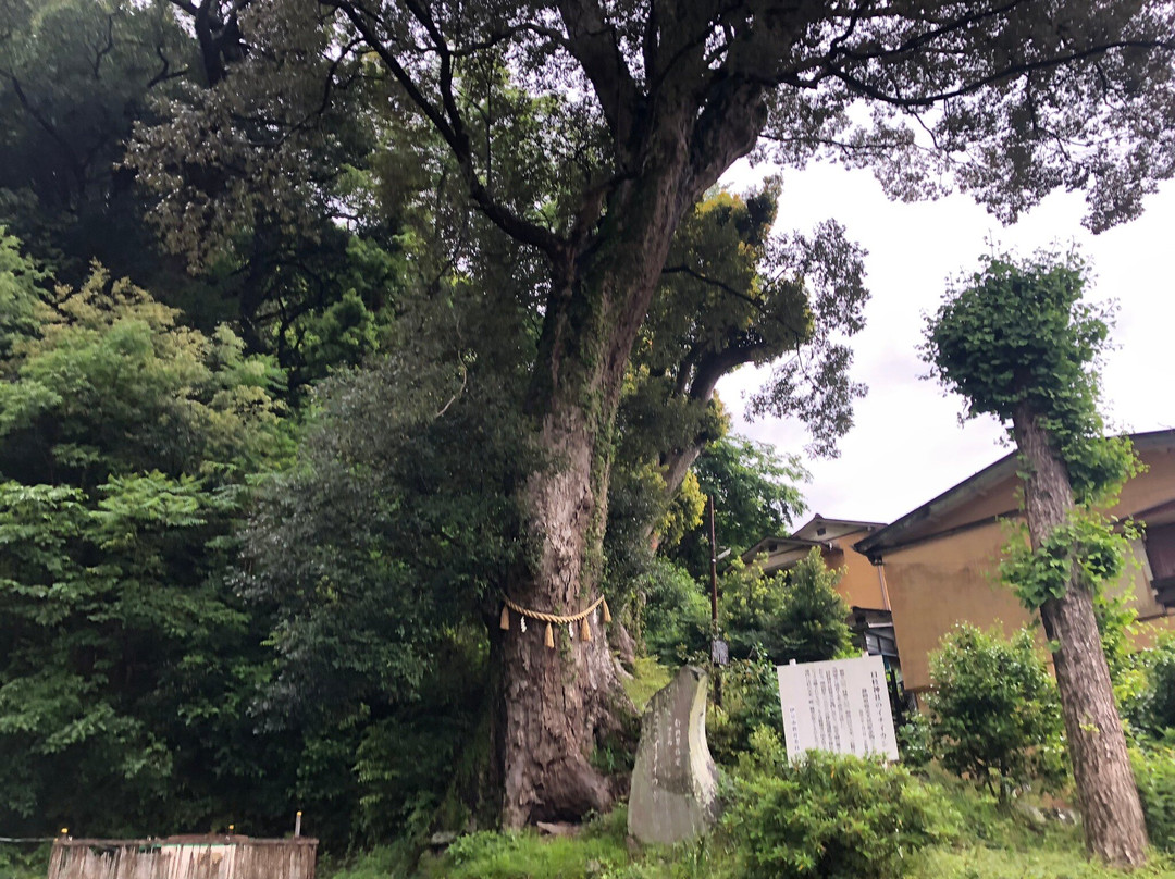 Hie Shrine-伊豆市必去景点