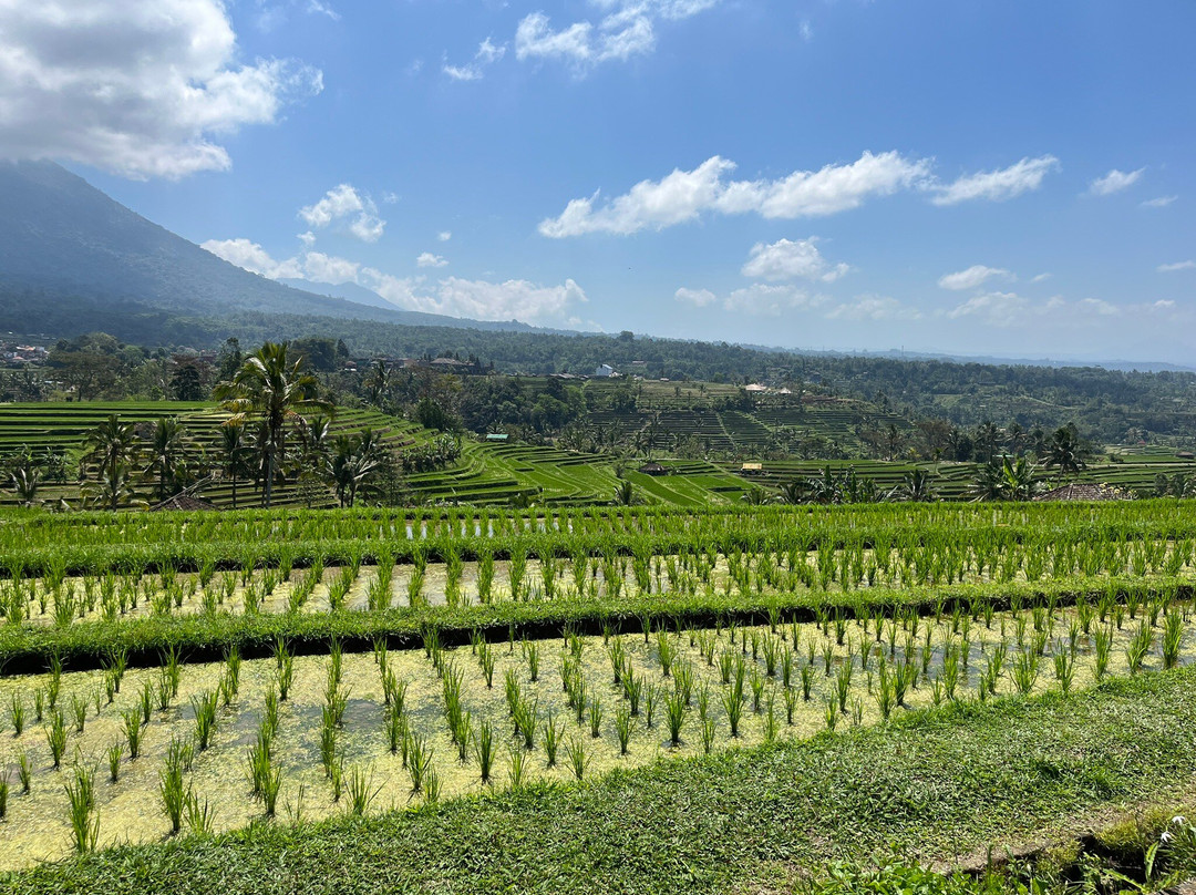 Jatiluwih-Jatiluwih必去景点