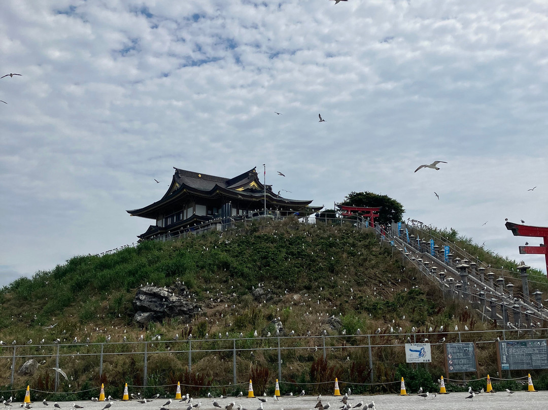 Kabushima Island景点图片