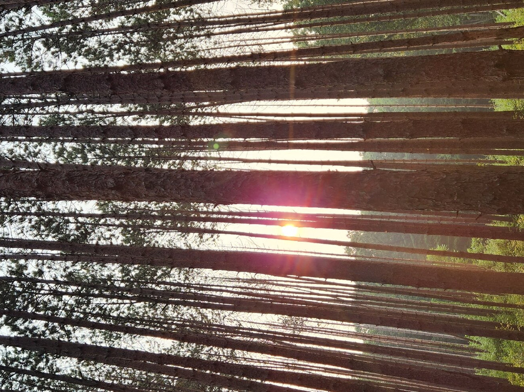 Oak Openings Preserve Metropark-Swanton必去景点