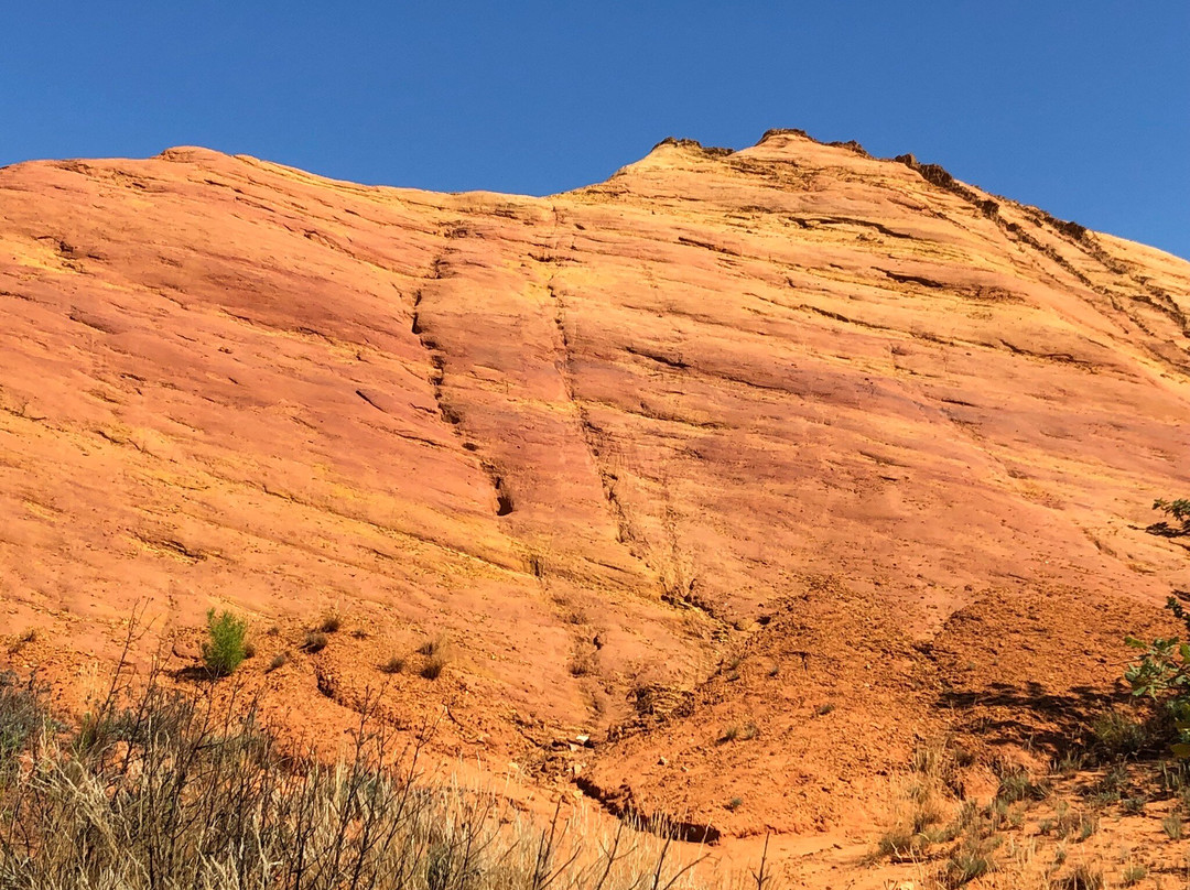 La Grange neuve - Chez Monique主图