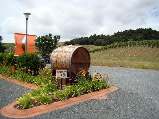 Milestone Tours-奥克兰中心地区必去景点