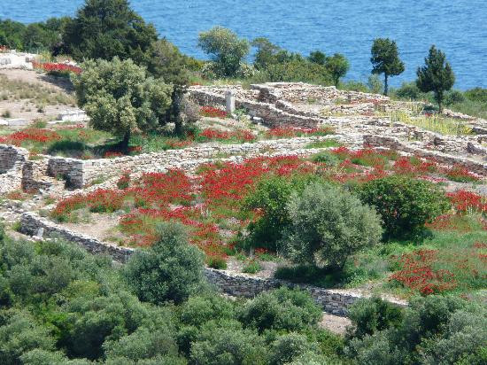 Ramnous Archaeological Site-Grammatiko必去景点
