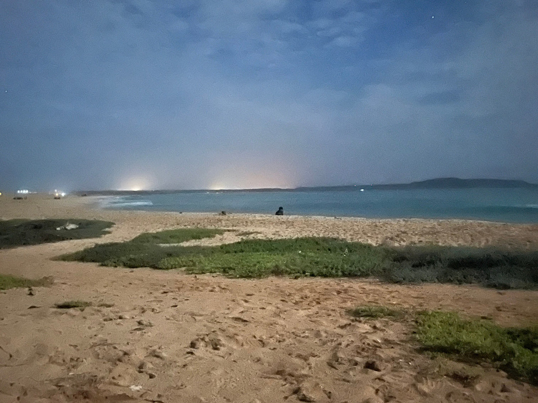 Sealife Experience Turtle Watching-圣塔玛丽亚必去景点