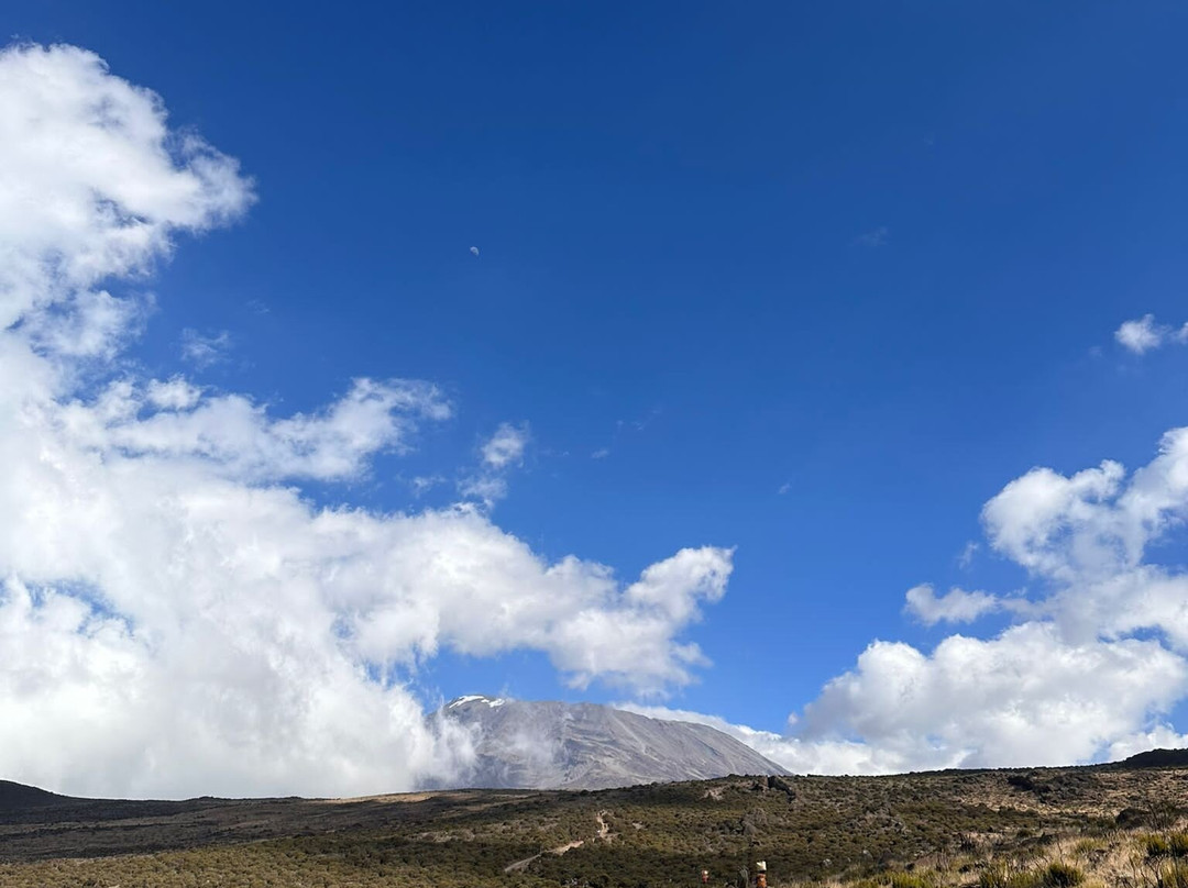 Shizi Safari-阿鲁沙必去景点