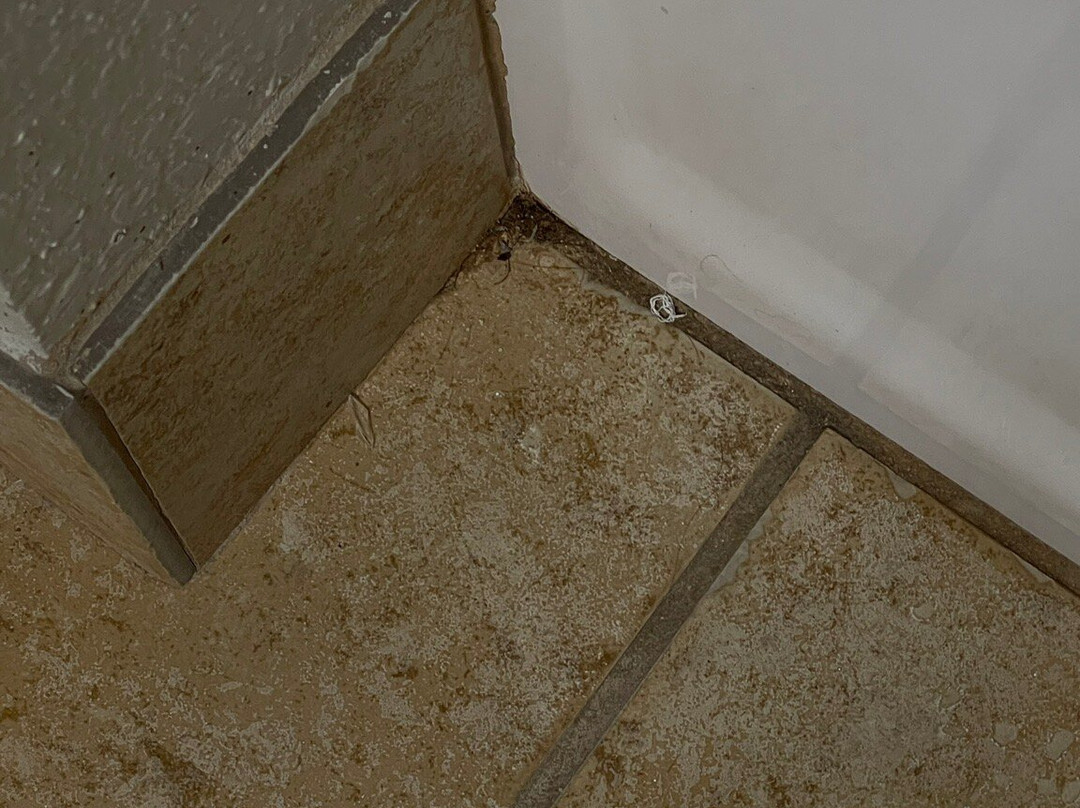 Comfort Inn & Suites Shakopee Inn主图