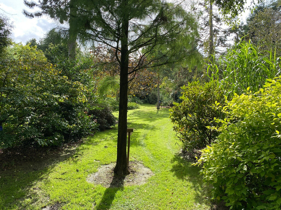 Bluebell Arboretum and Nursery景点图片