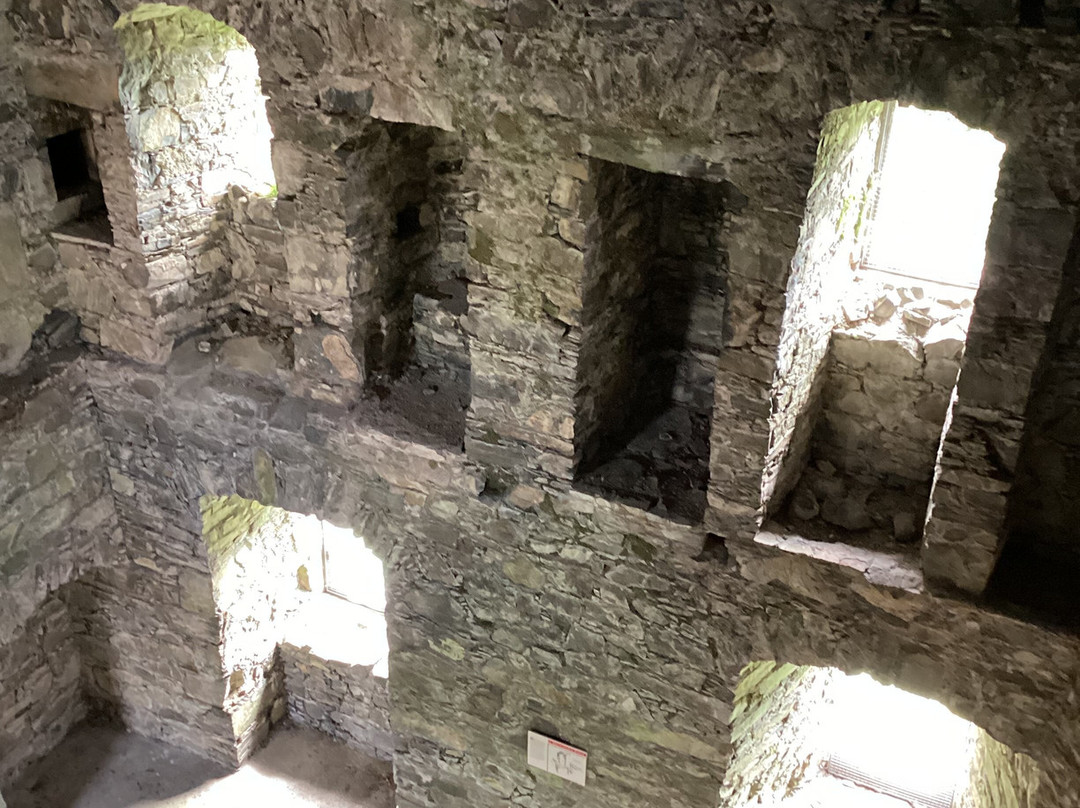 Drumcoltran Tower景点图片