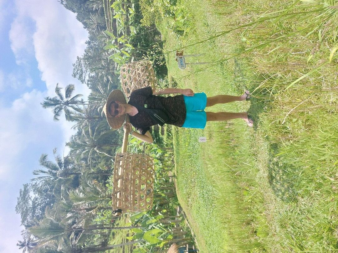 Private Guided Tour with adventure in Ubud Bali-乌布必去景点