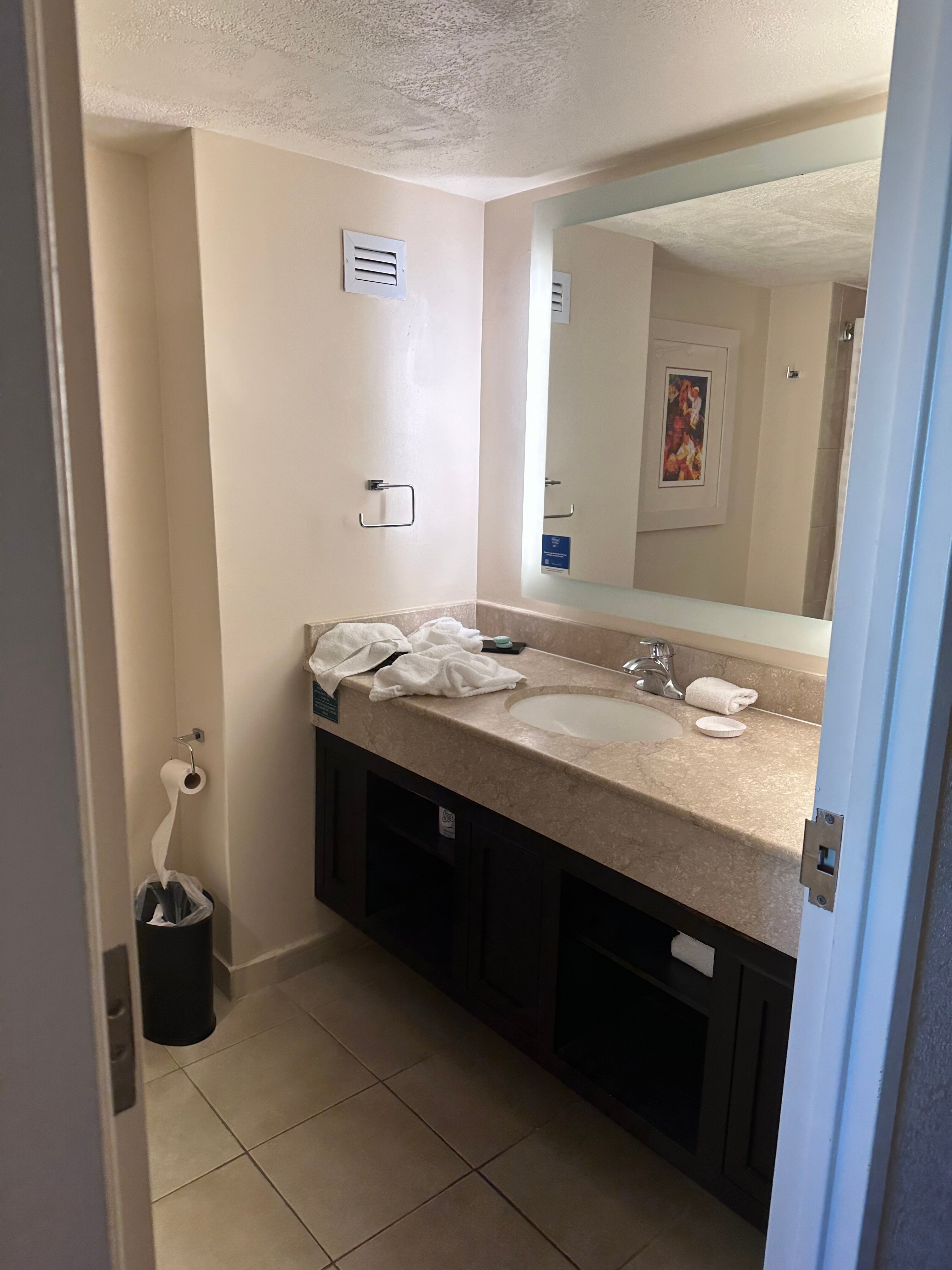 Embassy Suites by Hilton San Juan Hotel & Casino-浴室