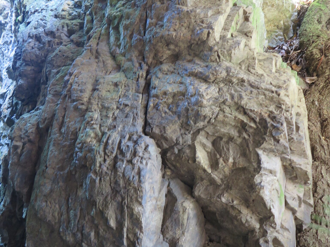 Kurusonzan Shuzenji-下关市必去景点