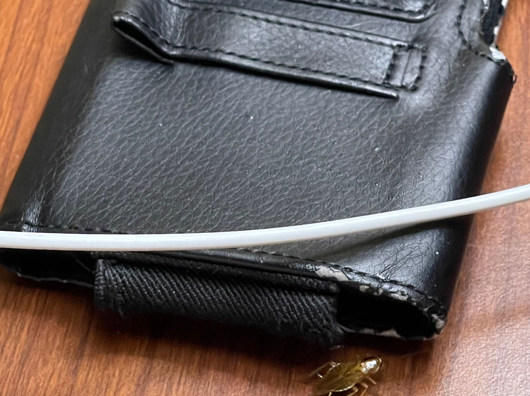 Hamilton Inn Bessemer主图