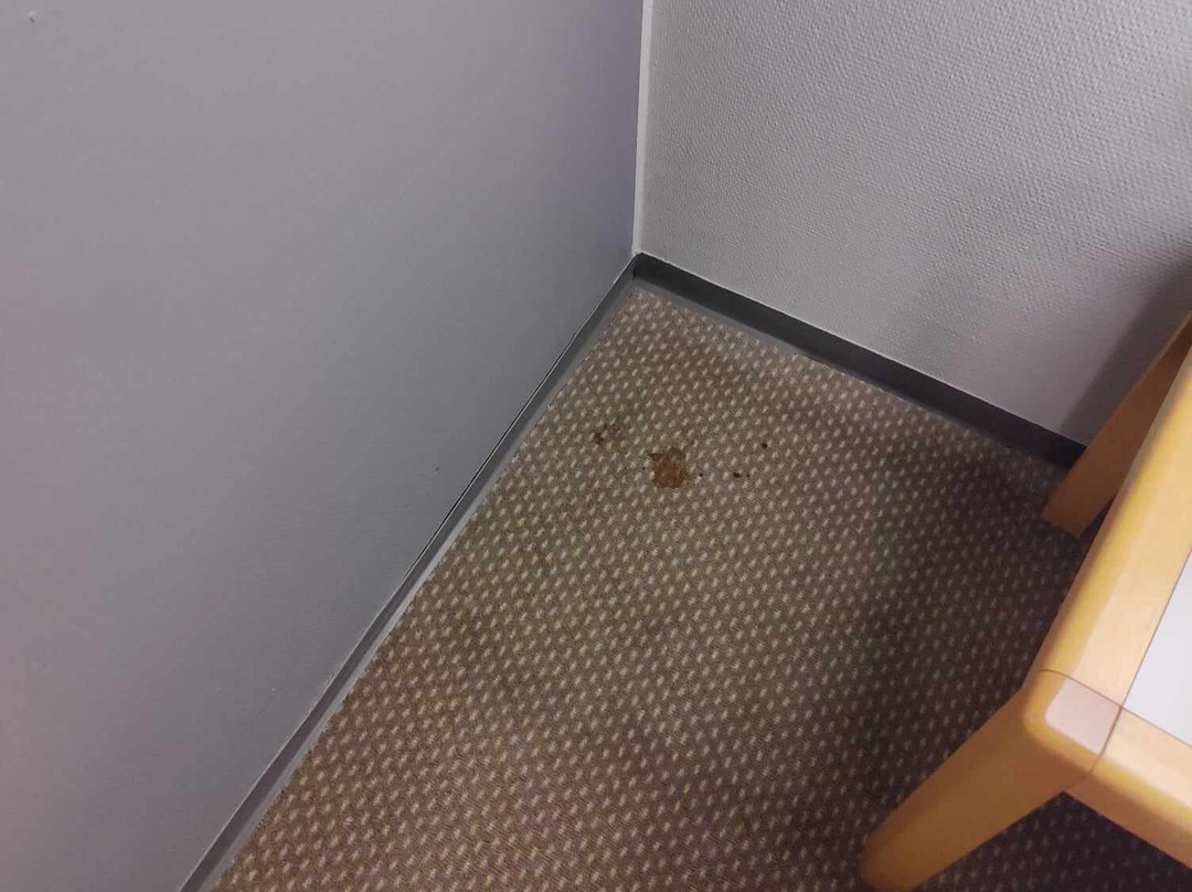 豪艾塔斯川普第一酒店主图