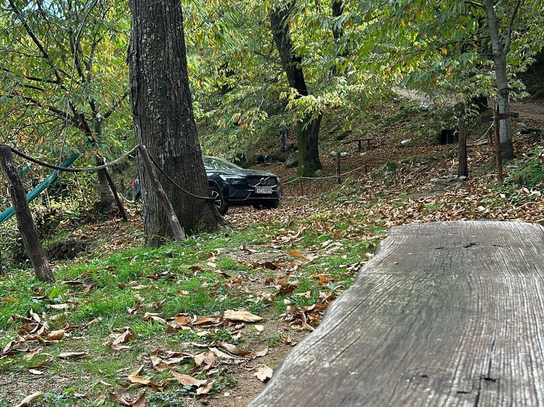 12 Months Luxury Resort主图