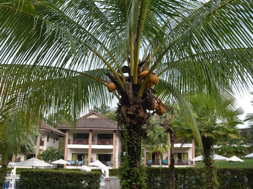 绿叶海滨度假村主图