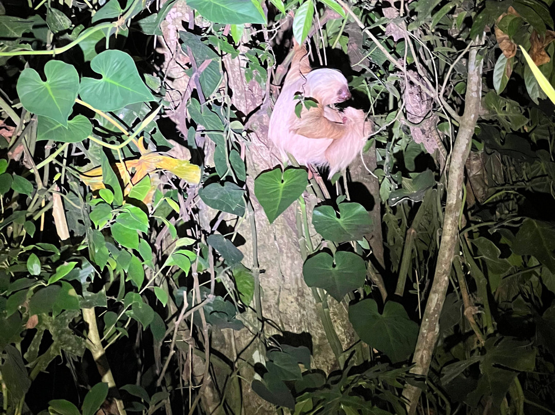 Costa Rica Escapes景点图片