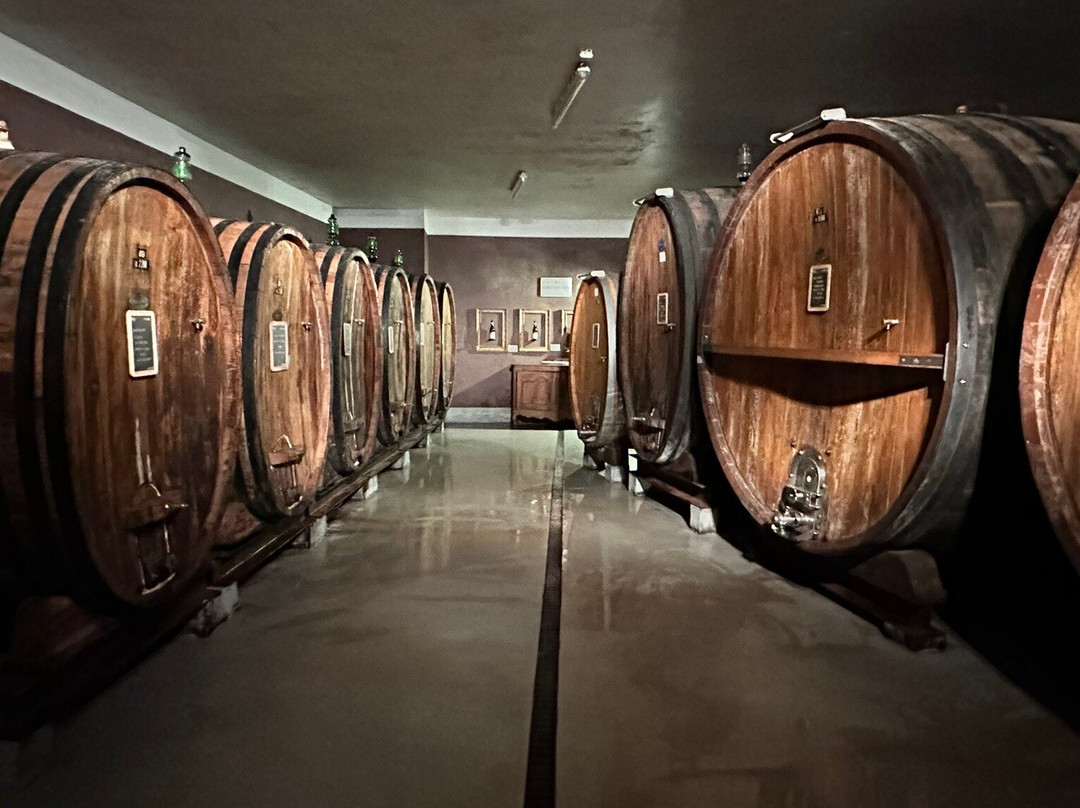 Cantina Giacomo Borgogno e Figli-巴罗洛必去景点