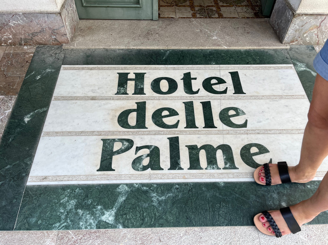 Hotel delle Palme主图