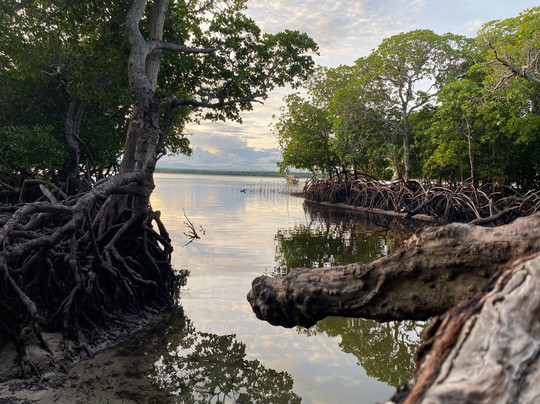 In Kenya con Katana-瓦塔木必去景点