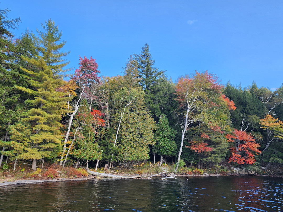 Pine Terrace Motel & Resort主图