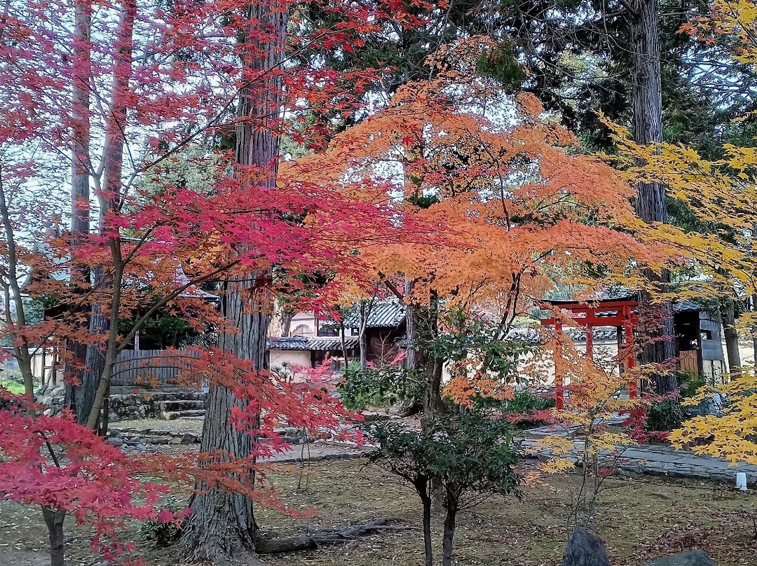 Jujo Ginza Shopping Arcade-北区必去景点