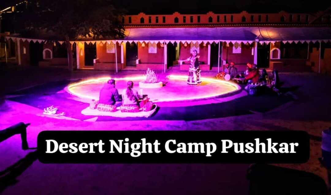 Desert Night Camp主图