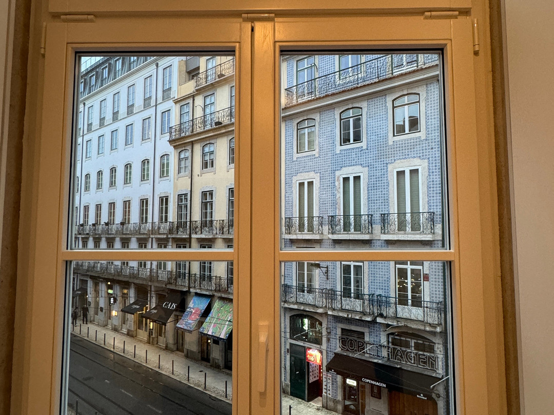 The House on Pink Street主图