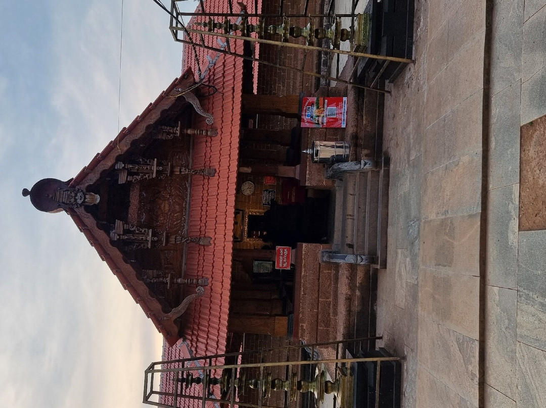Mridanga Saileswari Temple景点图片