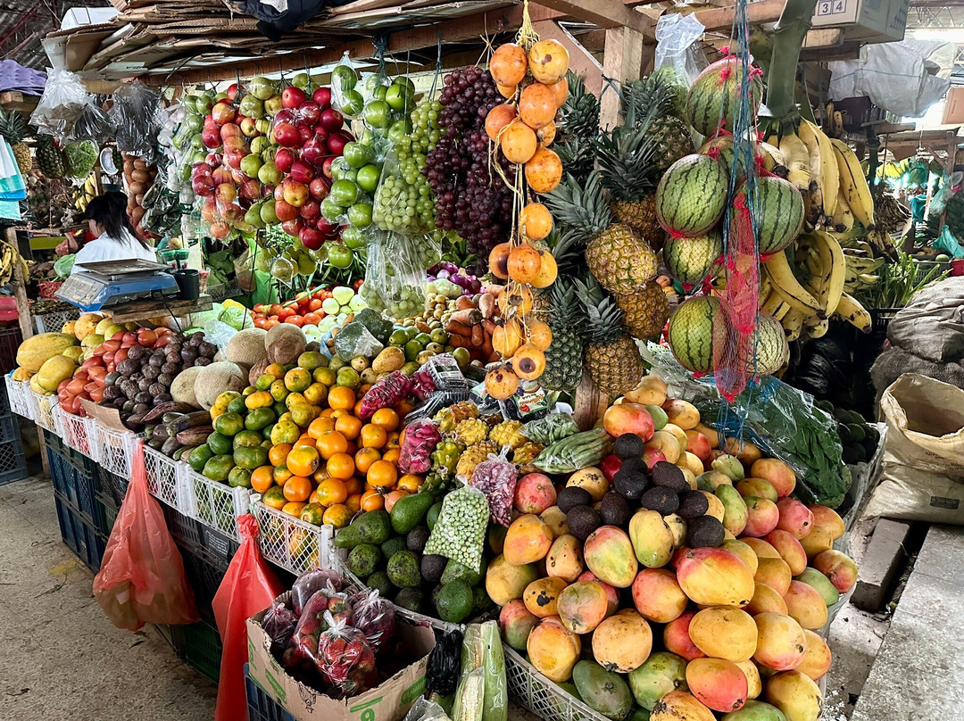 Finca Ecologica El Maco主图