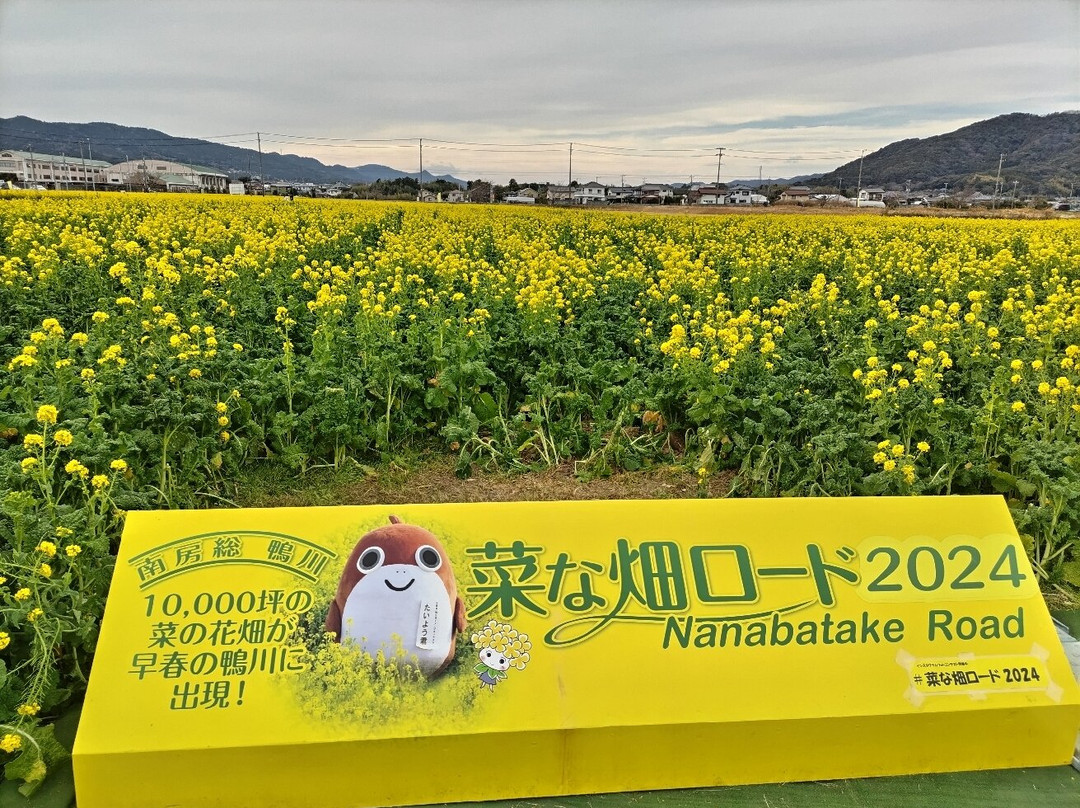 Nanabatake Road景点图片