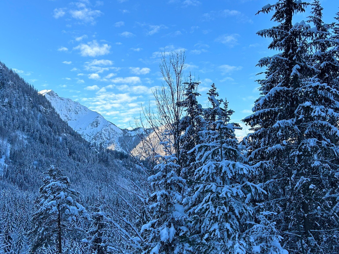 Skischule Pertisau景点图片