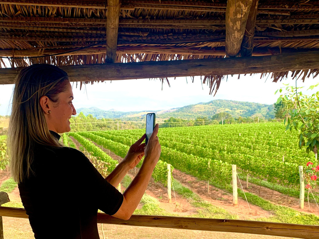 Vinícola Assunção-Pirenopolis必去景点