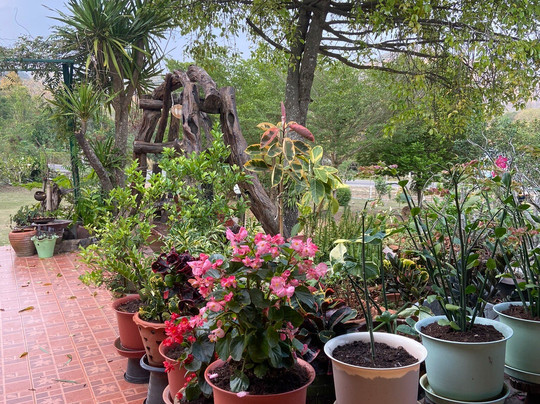 Samarn Bird Camp主图