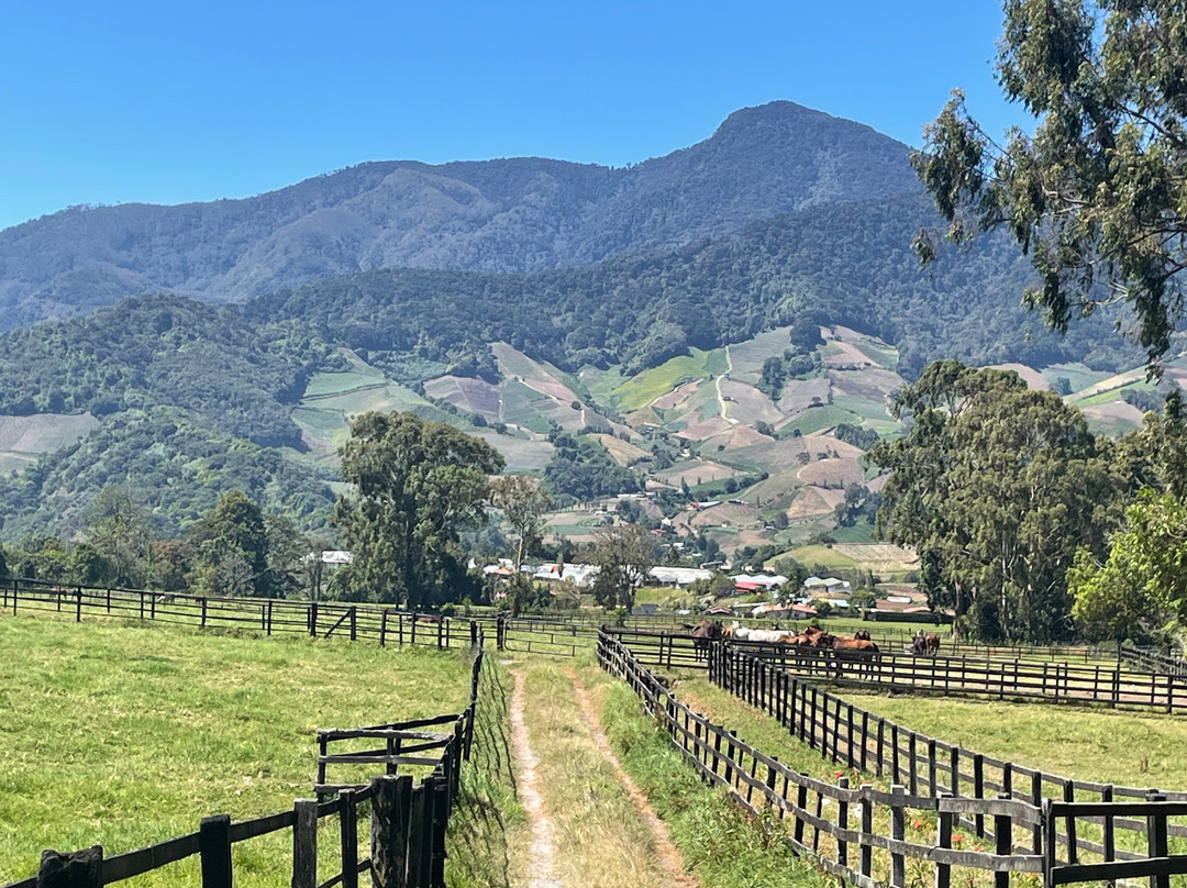 Haras Cerro Punta景点图片
