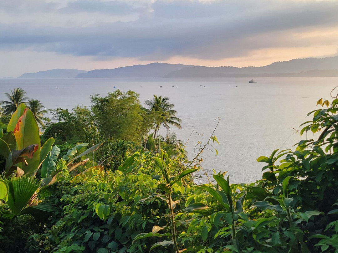 Hotel Jinetes de Osa主图