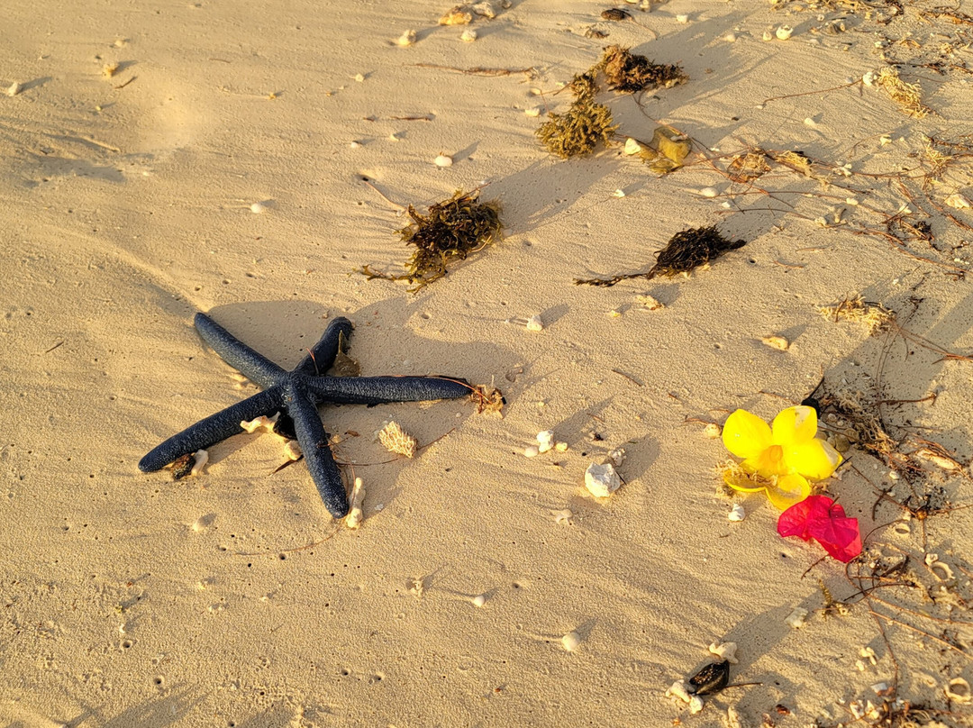 塞班水世界度假村俱乐部主图