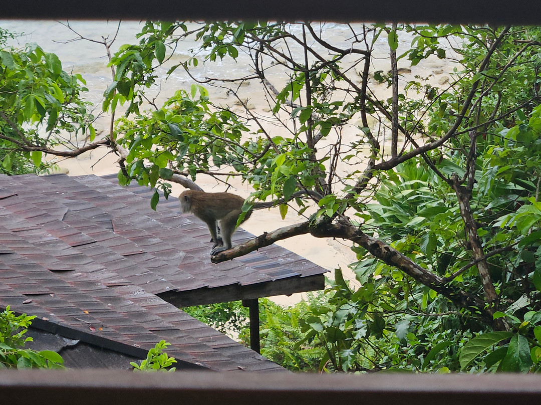 加帕玛拉度假村主图