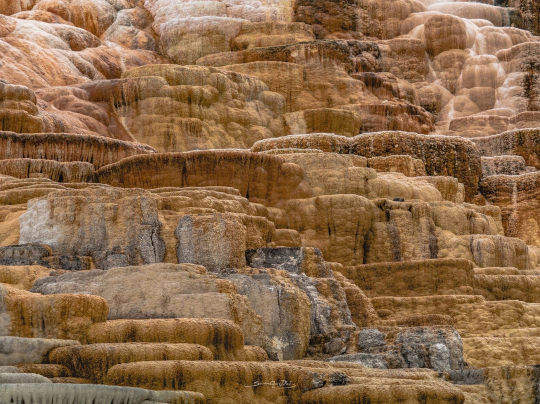 Palette Spring景点图片