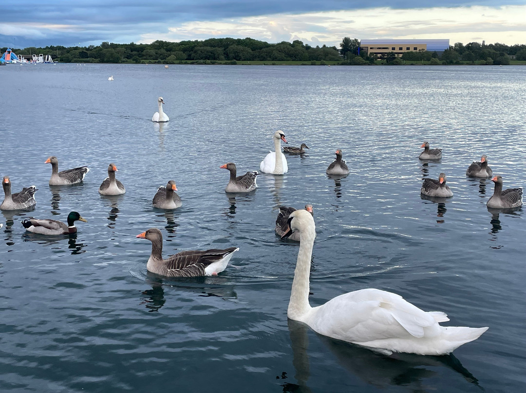 Premier Inn Milton Keynes (Willen Lake) Hotel主图