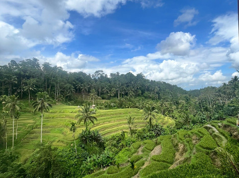 Bali Budget Vacation-登巴萨必去景点