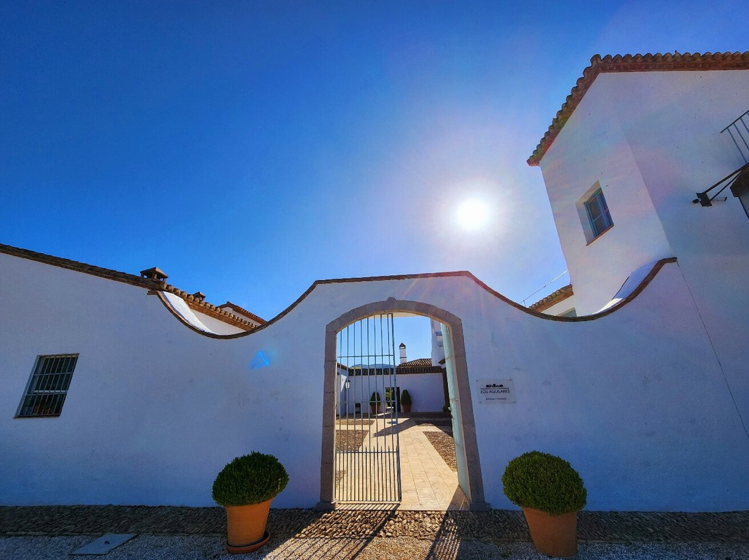 Cortijo Los Aguilares景点图片