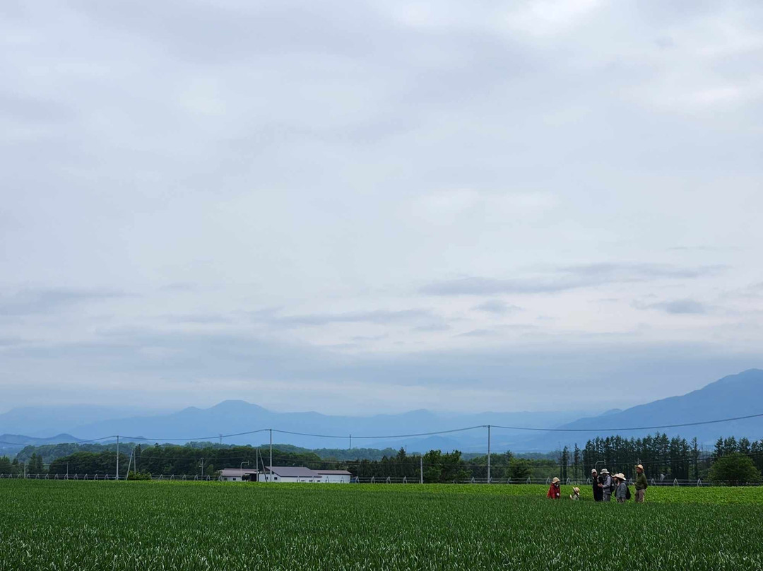 Itadakimasu Company Individual Tour-音更町必去景点