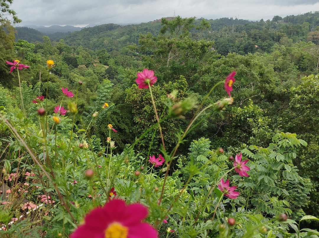 Kobbekaduwa Bungalow主图
