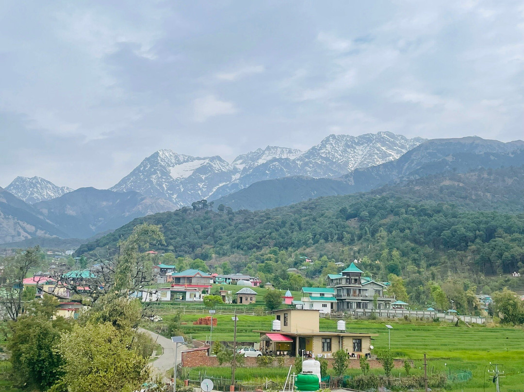 Aotel By Clarks Inn Palampur