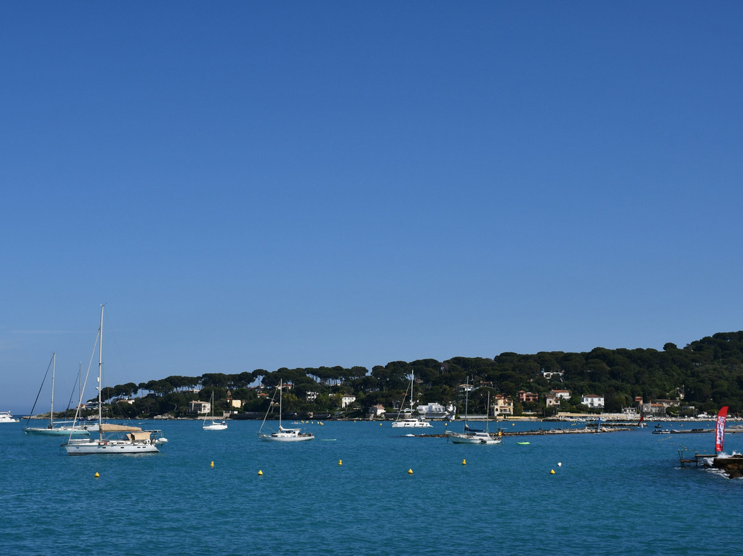 Parc de la Pinède-若安乐松必去景点