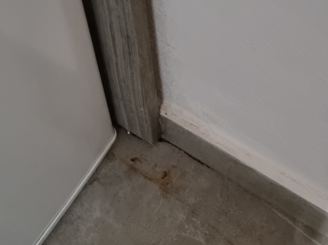 Strawberry Pension主图