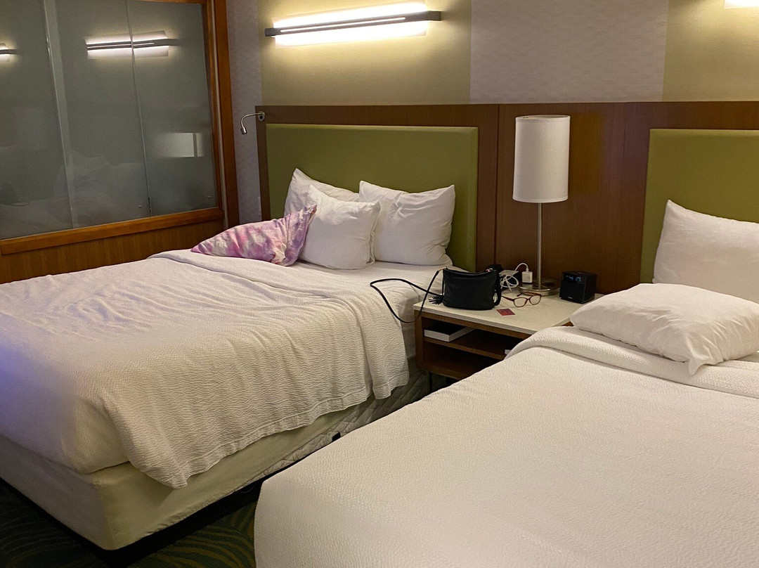 SpringHill Suites by Marriott Houston Sugar Land主图