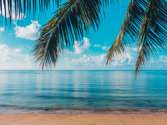 Thai House-埃里温必去景点